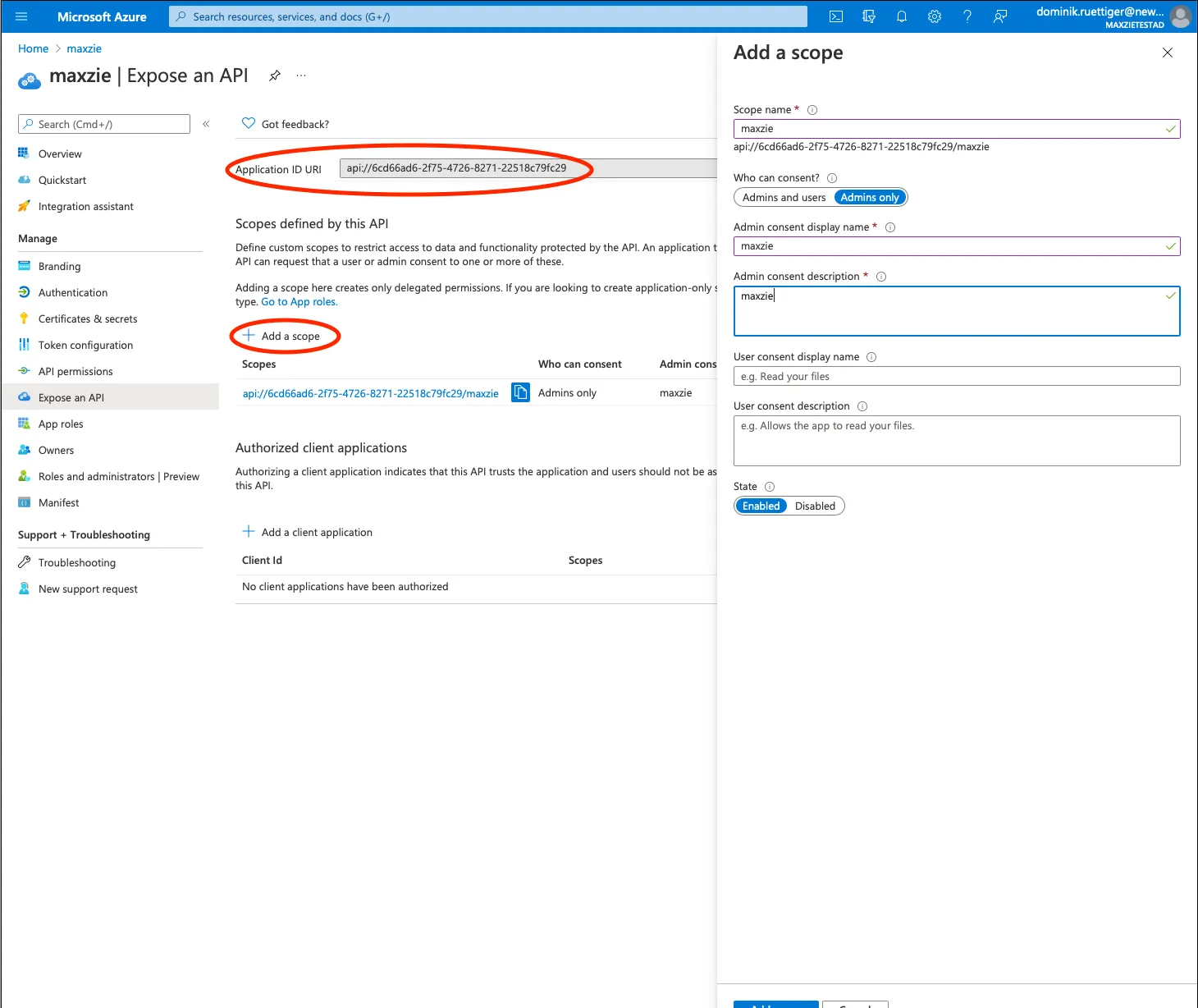 Entra ID App Settings Step 4